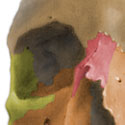 Medical illustration skull bones thumbnail